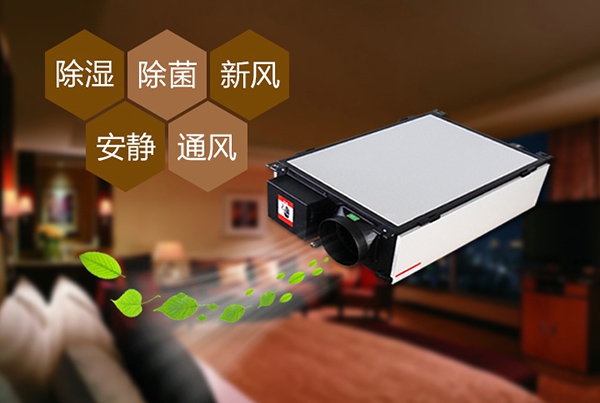 如何預防辦公室裝修后的防潮問題？