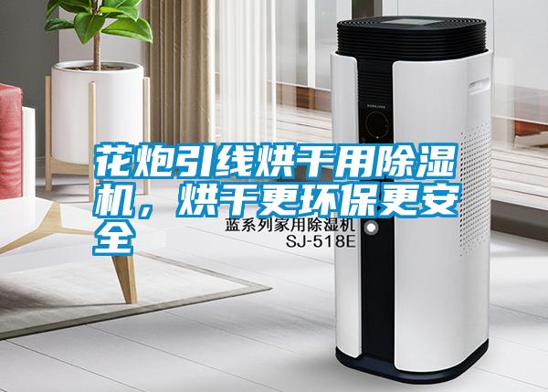 花炮引線烘干用除濕機，烘干更環(huán)保更安全