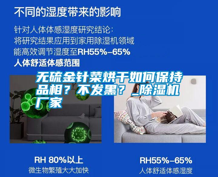 無(wú)硫金針菜烘干如何保持品相？不發(fā)黑？_除濕機(jī)廠家