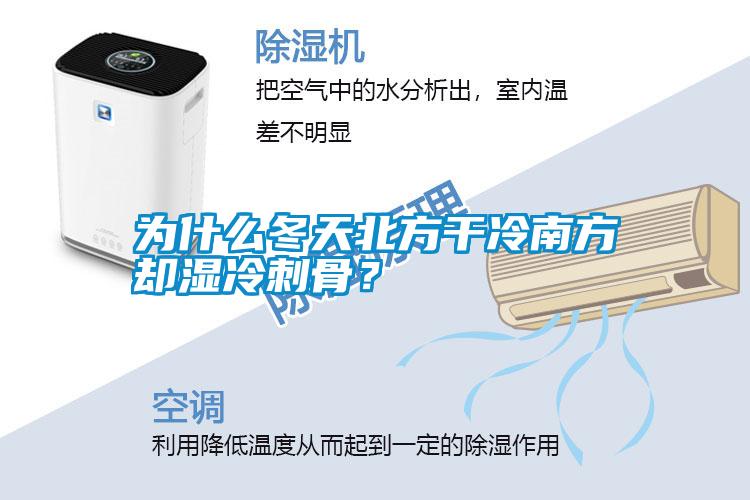 為什么冬天北方干冷南方卻濕冷刺骨？