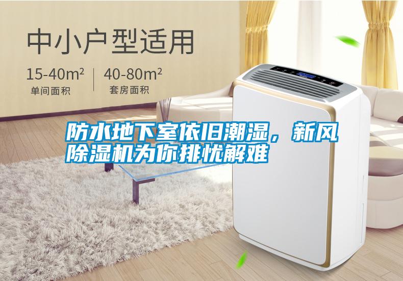 防水地下室依舊潮濕，新風除濕機為你排憂解難