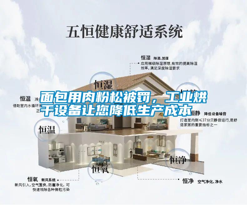 面包用肉粉松被罰，工業烘干設備讓您降低生產成本