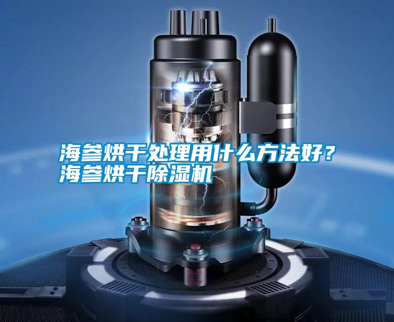海參烘干處理用什么方法好？海參烘干除濕機