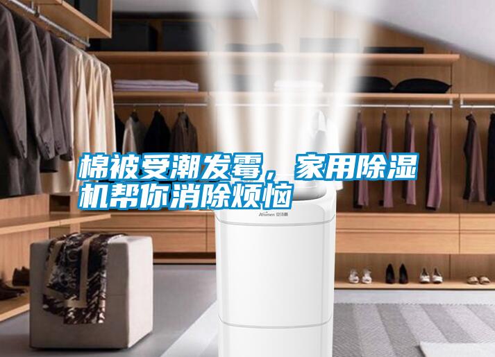 棉被受潮發霉，家用除濕機幫你消除煩惱