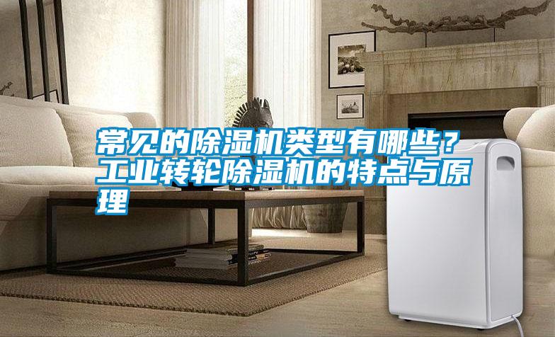 常見的除濕機類型有哪些？工業(yè)轉(zhuǎn)輪除濕機的特點與原理