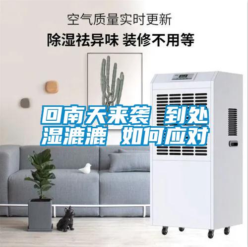 回南天來襲 到處濕漉漉 如何應(yīng)對(duì)