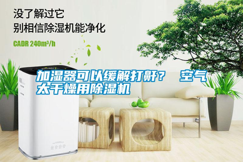 加濕器可以緩解打鼾？ 空氣太干燥用除濕機
