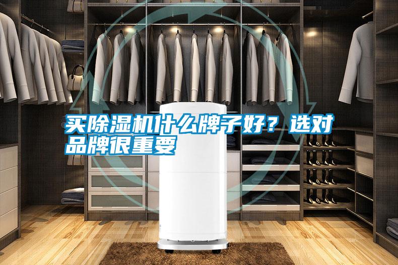 買除濕機(jī)什么牌子好？選對品牌很重要