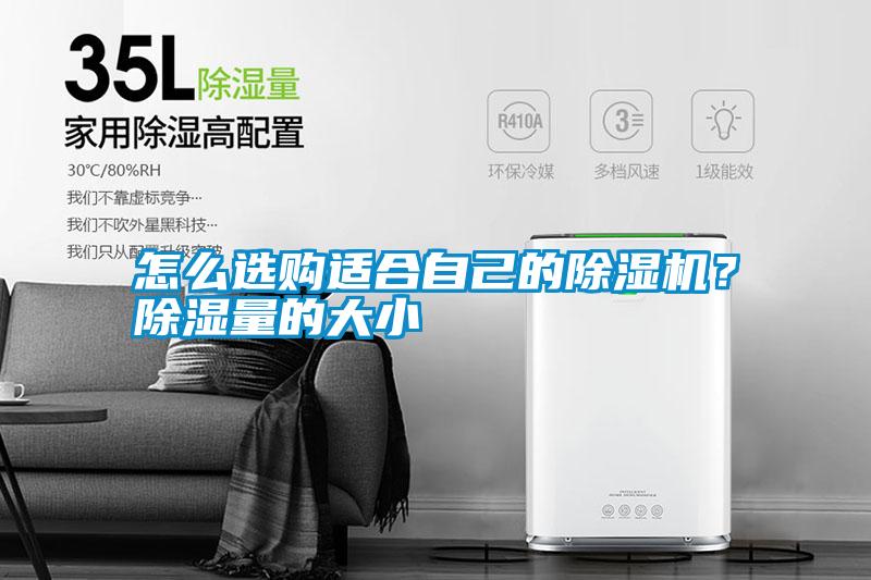 怎么選購適合自己的除濕機？除濕量的大小