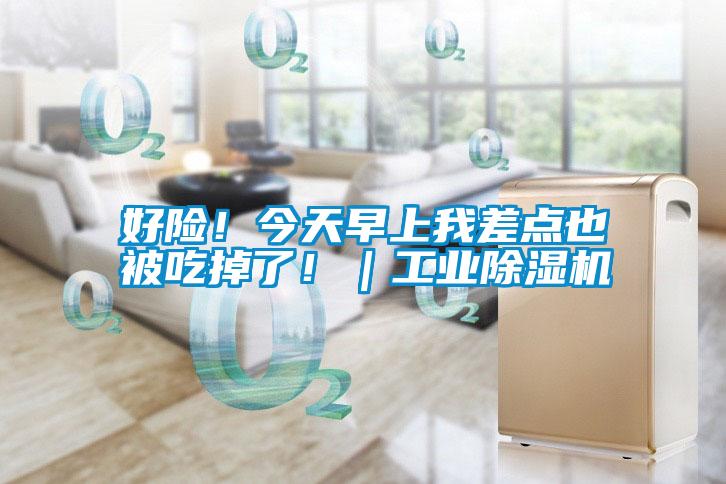 好險(xiǎn)！今天早上我差點(diǎn)也被吃掉了！｜工業(yè)除濕機(jī)
