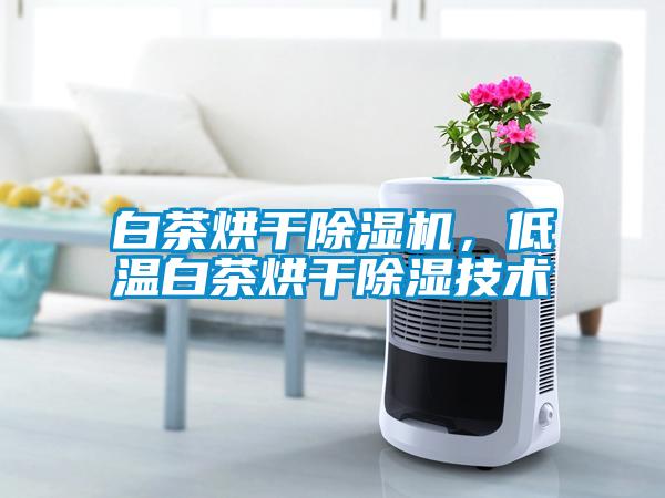 白茶烘干除濕機，低溫白茶烘干除濕技術(shù)