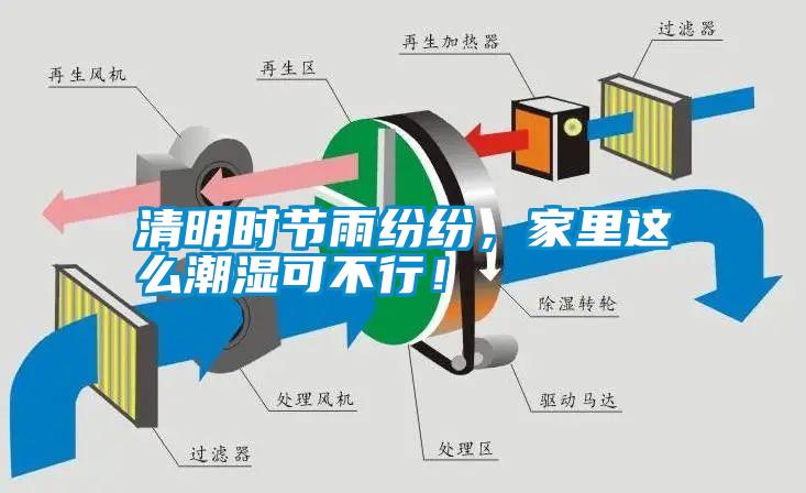 清明時(shí)節(jié)雨紛紛，家里這么潮濕可不行！