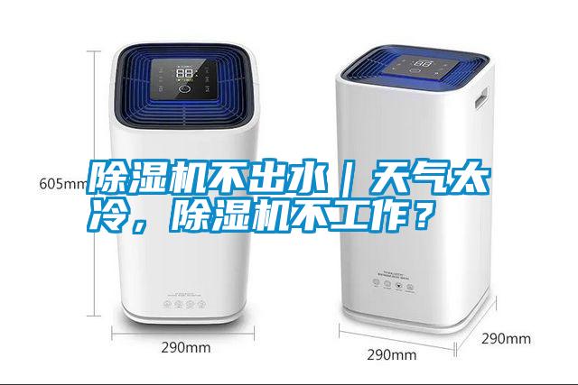 除濕機不出水｜天氣太冷，除濕機不工作？