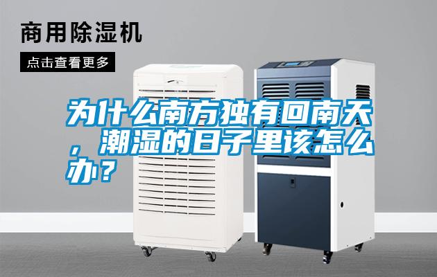 為什么南方獨有回南天，潮濕的日子里該怎么辦？