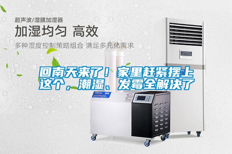 回南天來(lái)了！家里趕緊擺上這個(gè)，潮濕、發(fā)霉全解決了