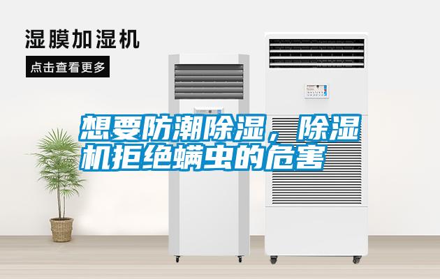 想要防潮除濕，除濕機拒絕螨蟲的危害