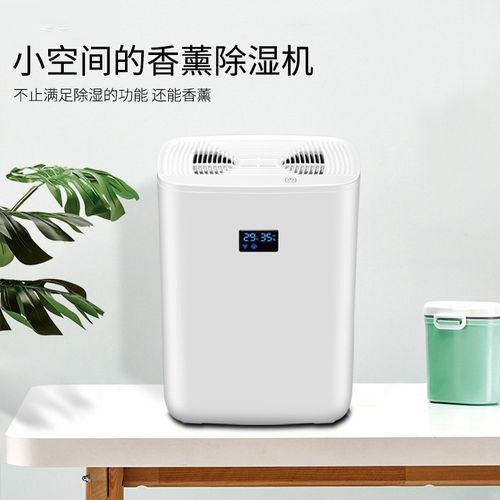 家里濕氣重怎么辦？除濕妙方在此!