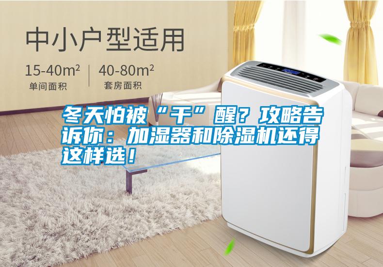 冬天怕被“干”醒？攻略告訴你：加濕器和除濕機(jī)還得這樣選！