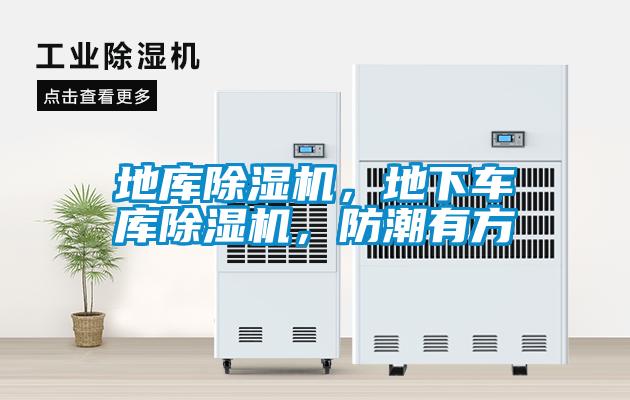 地庫除濕機(jī),地下車庫除濕機(jī),防潮有方