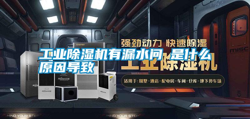 工業(yè)除濕機有漏水問題是什么原因?qū)е?/></p>
<p style=