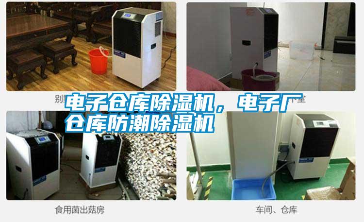 電子倉(cāng)庫(kù)除濕機(jī)，電子廠倉(cāng)庫(kù)防潮除濕機(jī)