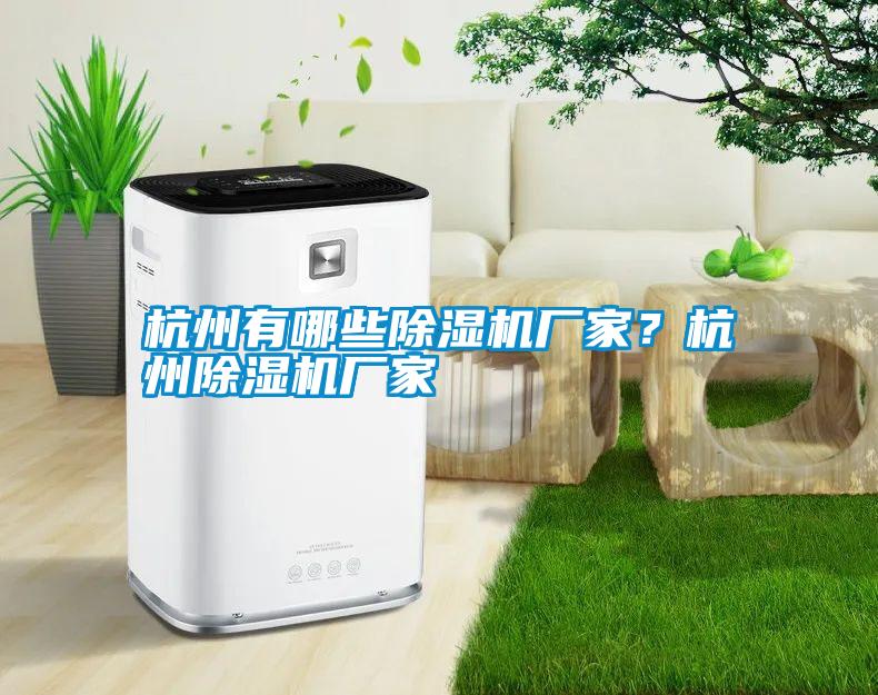 杭州有哪些除濕機廠家？杭州除濕機廠家