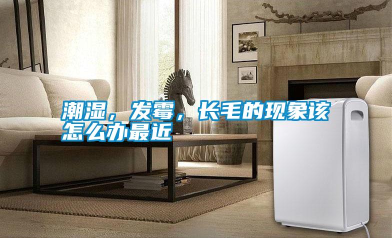 潮濕，發(fā)霉，長(zhǎng)毛的現(xiàn)象該怎么辦最近