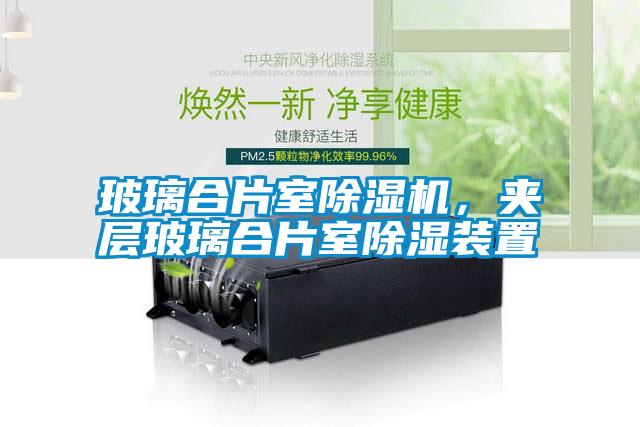 玻璃合片室除濕機(jī),夾層玻璃合片室除濕裝置