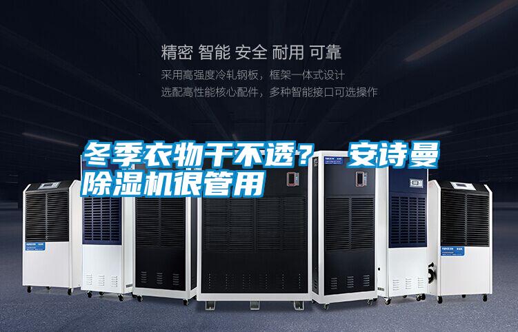 冬季衣物干不透？ 安詩曼除濕機很管用