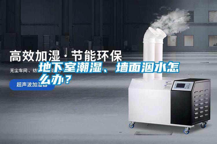 地下室潮濕、墻面洇水怎么辦？