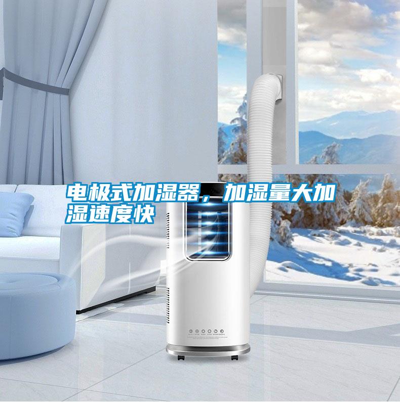 電極式加濕器，加濕量大加濕速度快