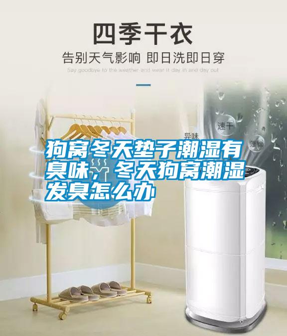 狗窩冬天墊子潮濕有臭味，冬天狗窩潮濕發臭怎么辦