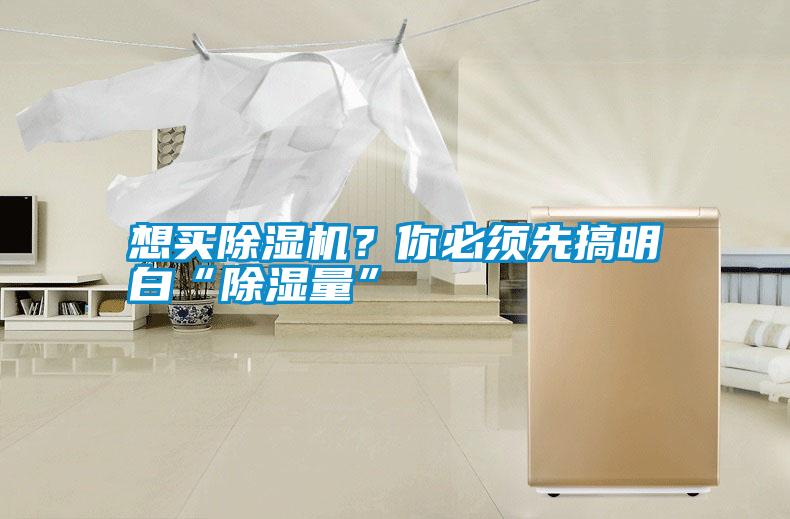 想買除濕機？你必須先搞明白“除濕量”