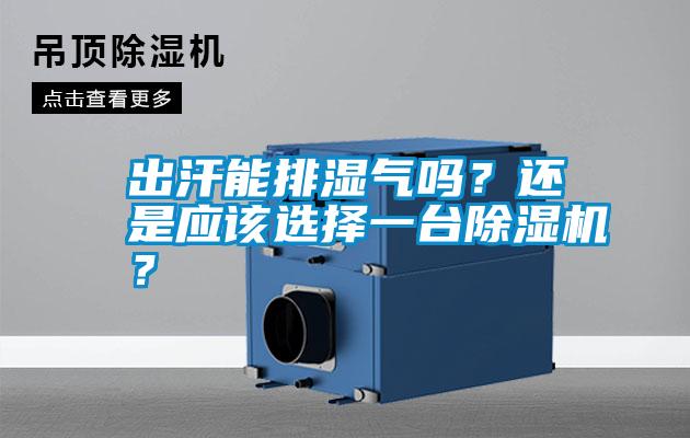 出汗能排濕氣嗎？還是應(yīng)該選擇一臺(tái)除濕機(jī)？