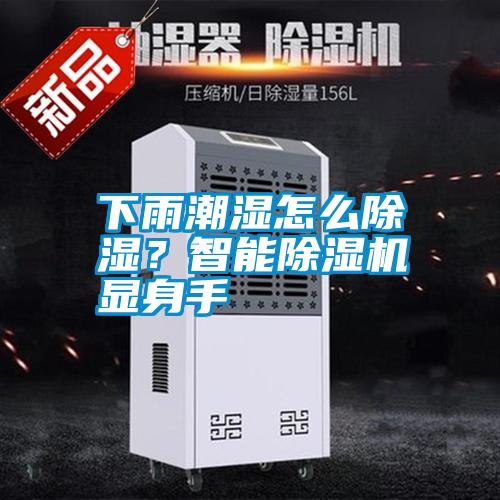 下雨潮濕怎么除濕？智能除濕機顯身手