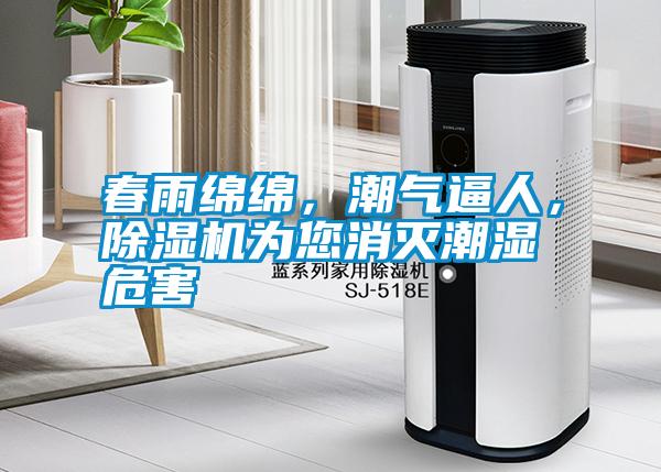 春雨綿綿，潮氣逼人，除濕機為您消滅潮濕危害