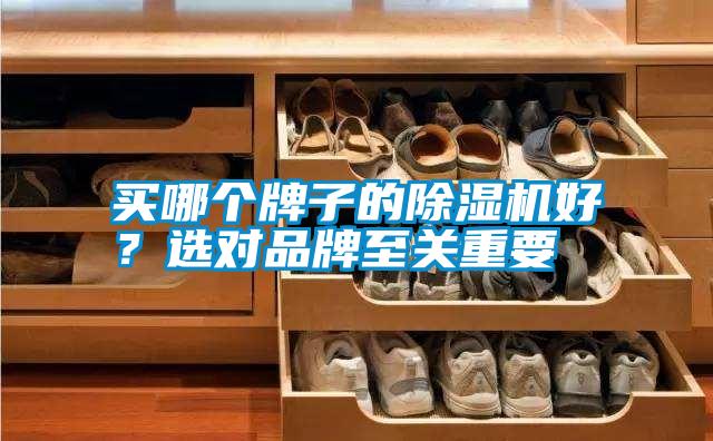 買哪個牌子的除濕機好？選對品牌至關重要
