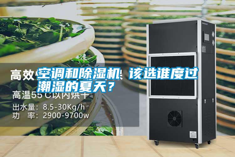 空調和除濕機 該選誰度過潮濕的夏天？