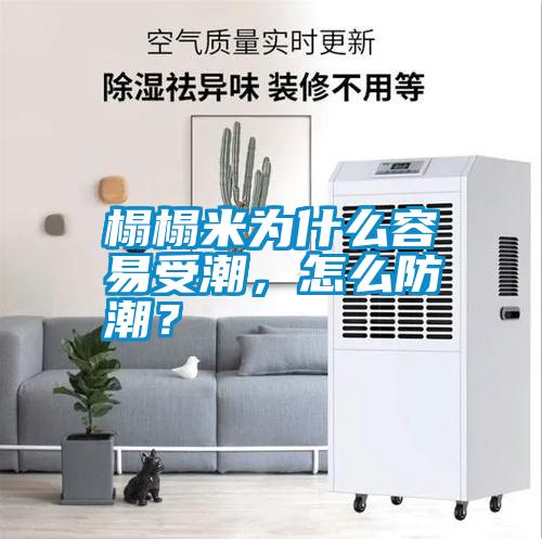 榻榻米為什么容易受潮，怎么防潮？