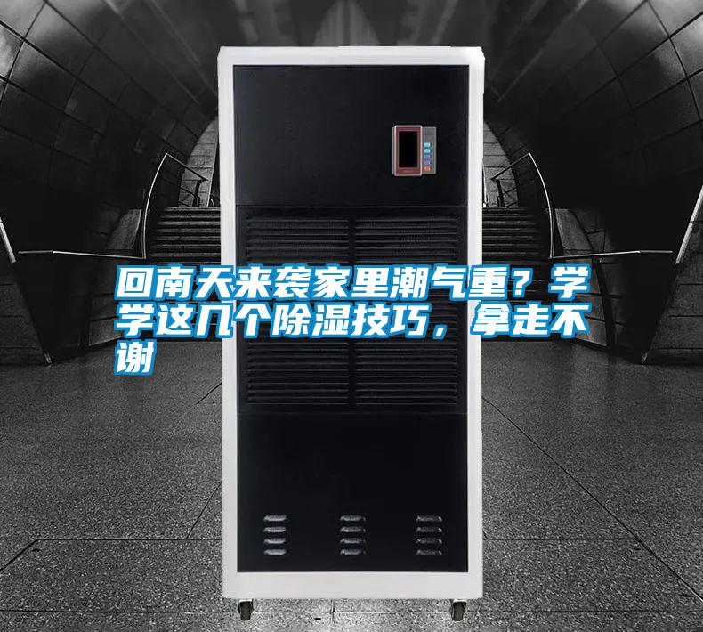 回南天來襲家里潮氣重？學學這幾個除濕技巧，拿走不謝