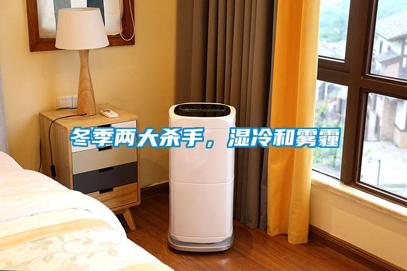 冬季兩大殺手，濕冷和霧霾