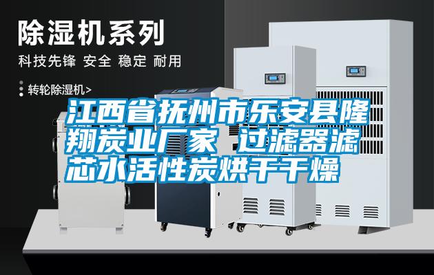 江西省撫州市樂安縣隆翔炭業廠家 過濾器濾芯水活性炭烘干干燥