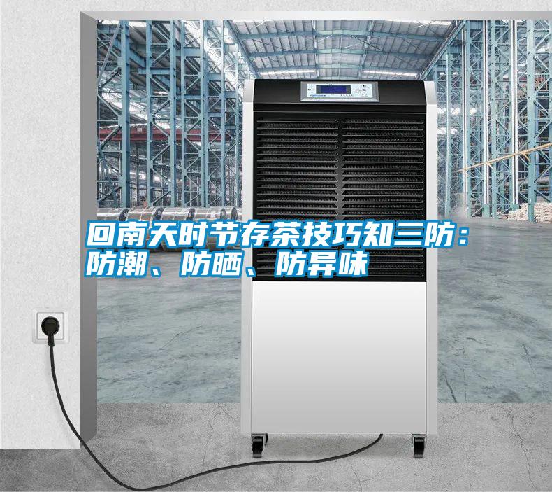 回南天時節存茶技巧知三防：防潮、防曬、防異味