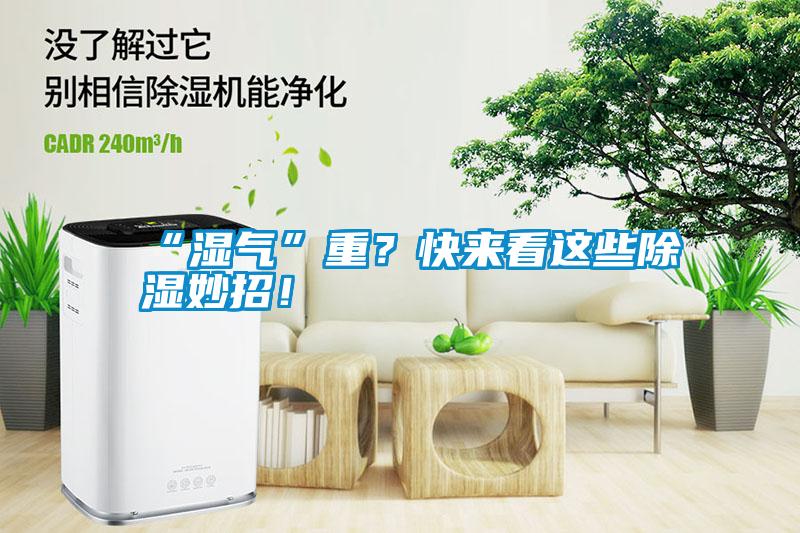 “濕氣”重？快來看這些除濕妙招！