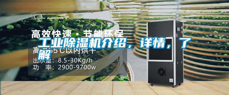 工業(yè)除濕機(jī)介紹，詳情，了解