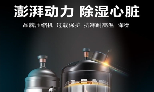 除濕機如何選擇？除濕機哪個品牌好？除濕機原理？