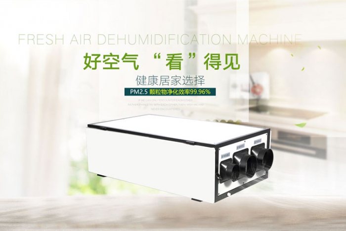 糧倉除濕設(shè)備，糧食儲(chǔ)存?zhèn)}庫除濕機(jī)