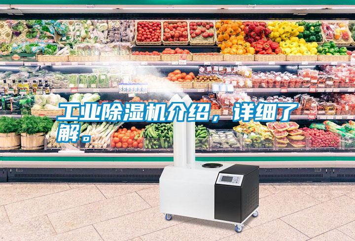 工業除濕機介紹，詳細了解。