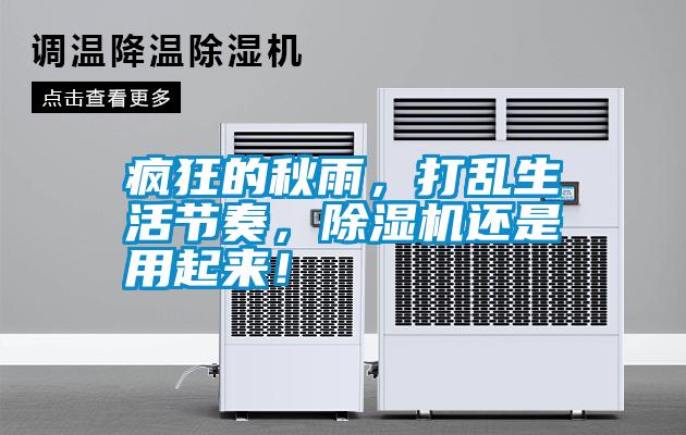 瘋狂的秋雨，打亂生活節(jié)奏，除濕機(jī)還是用起來(lái)！