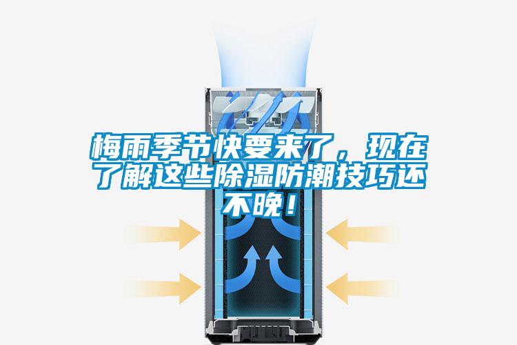 梅雨季節快要來了，現在了解這些除濕防潮技巧還不晚！